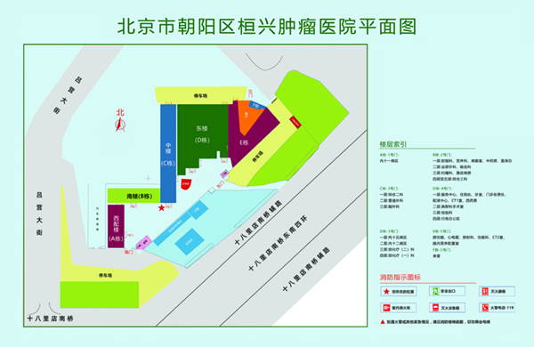 大鸡巴操小逼逼视频成人北京市朝阳区桓兴肿瘤医院平面图